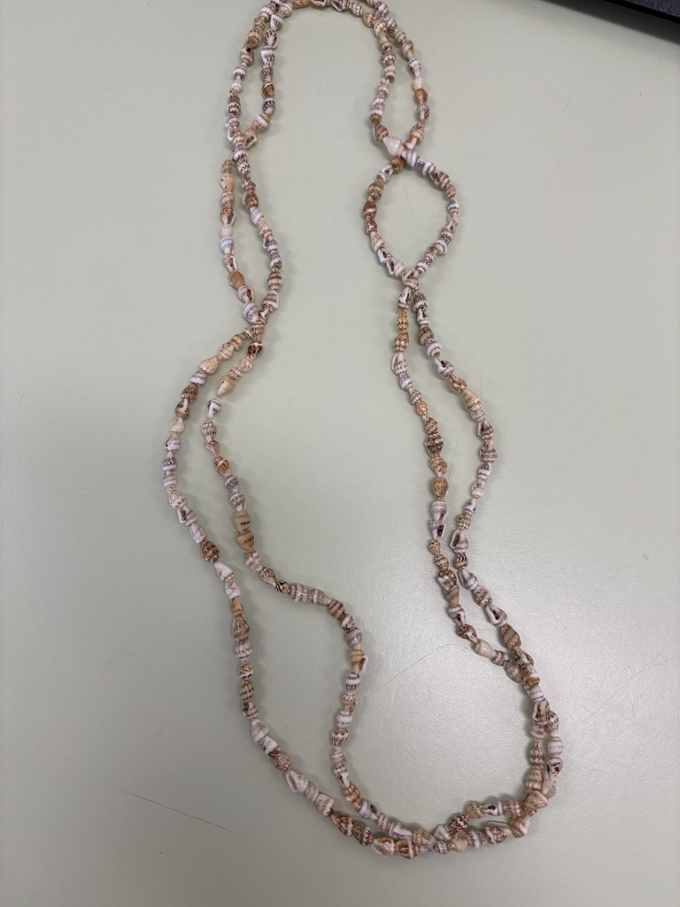 collier petits coquillages